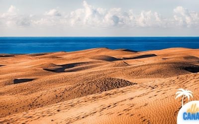 dune di maspalomas cosa vedere